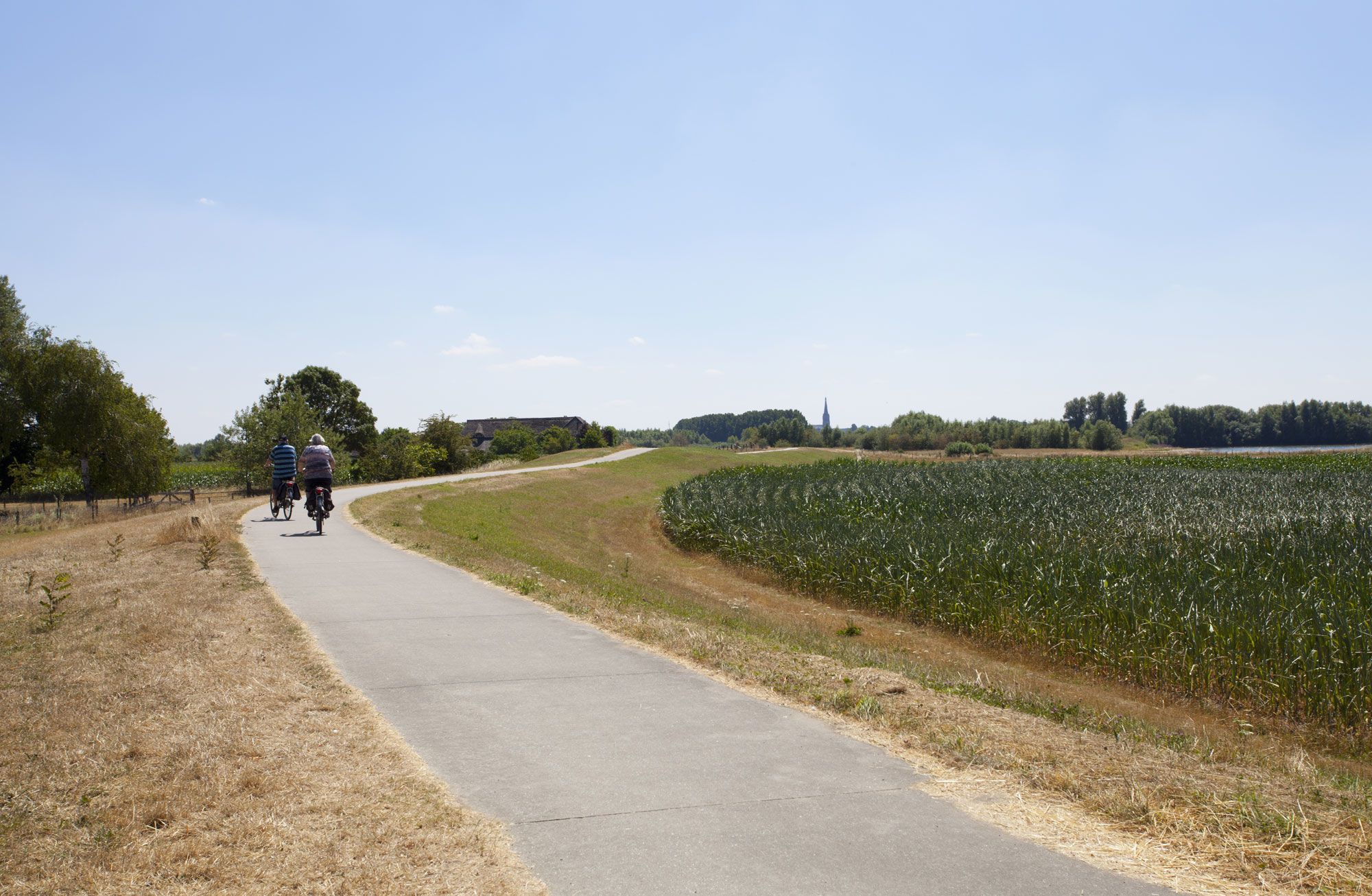 Fietsen langs de IJssel