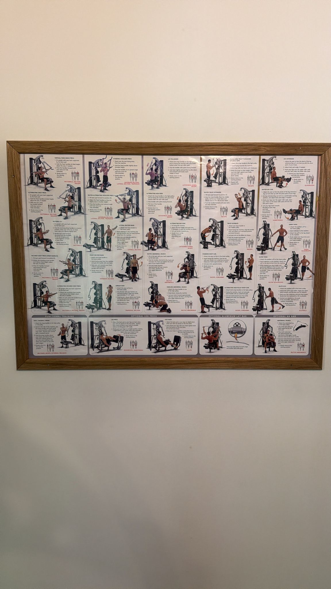Oefenposter multi-gym ingelijst
