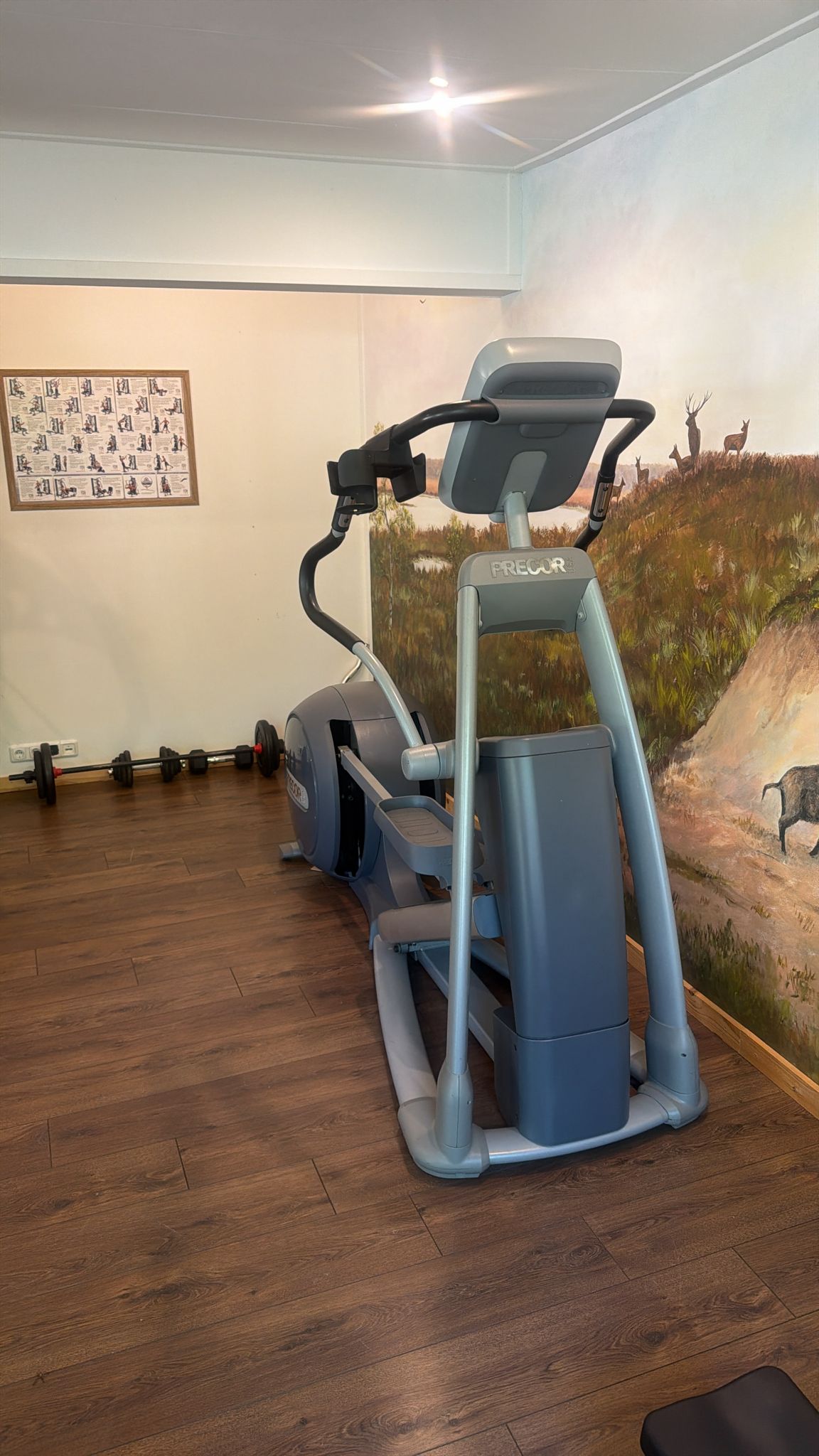 Precor elliptical crosstrainer — achteraanzicht